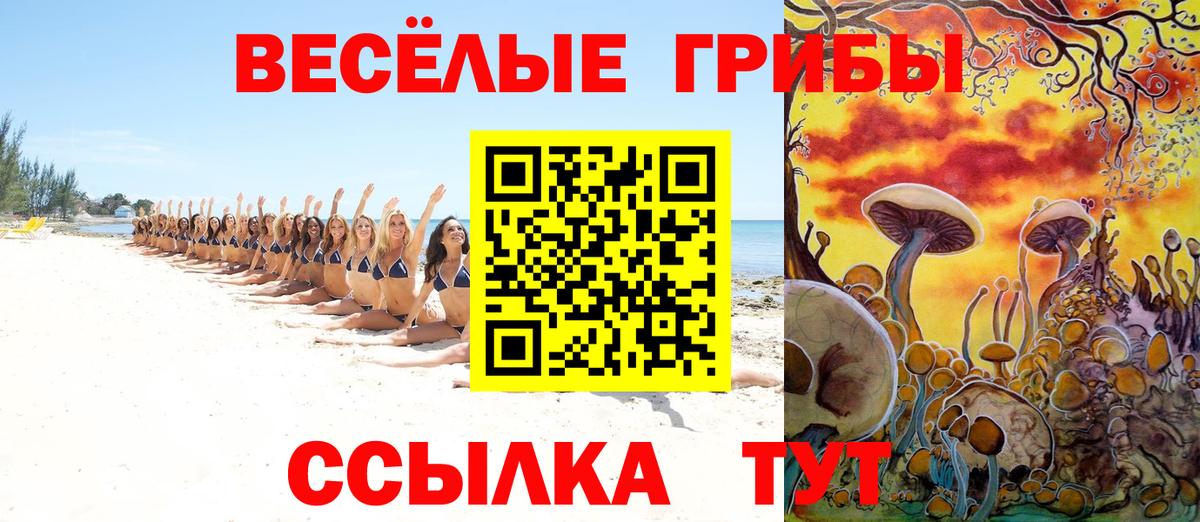 Галлюциногенные грибы Psilocybine cubensis Прохладный