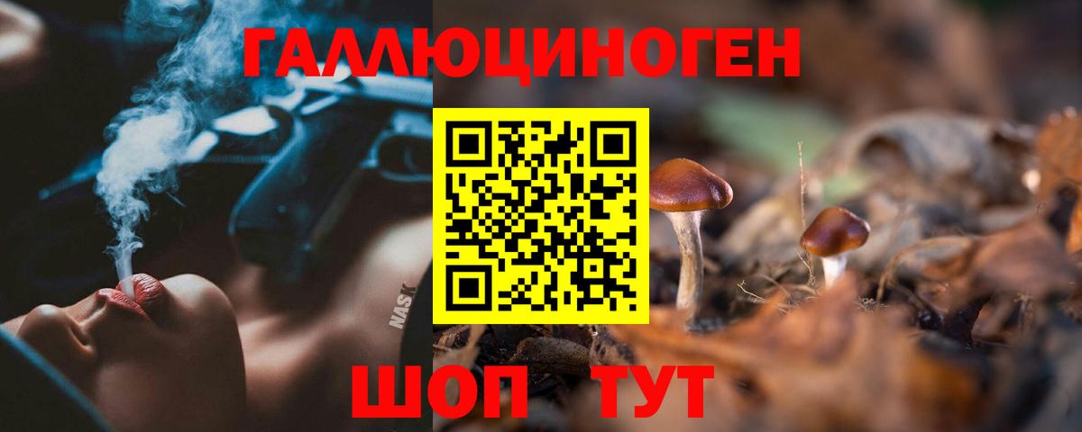 Галлюциногенные грибы Psilocybine cubensis  Галлюциногенные грибы GOLDEN TEACHER  Прохладный  Вход с VPN 